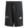 Mercedes - AMG Petronas Formula One Men's DNA Shorts - Black