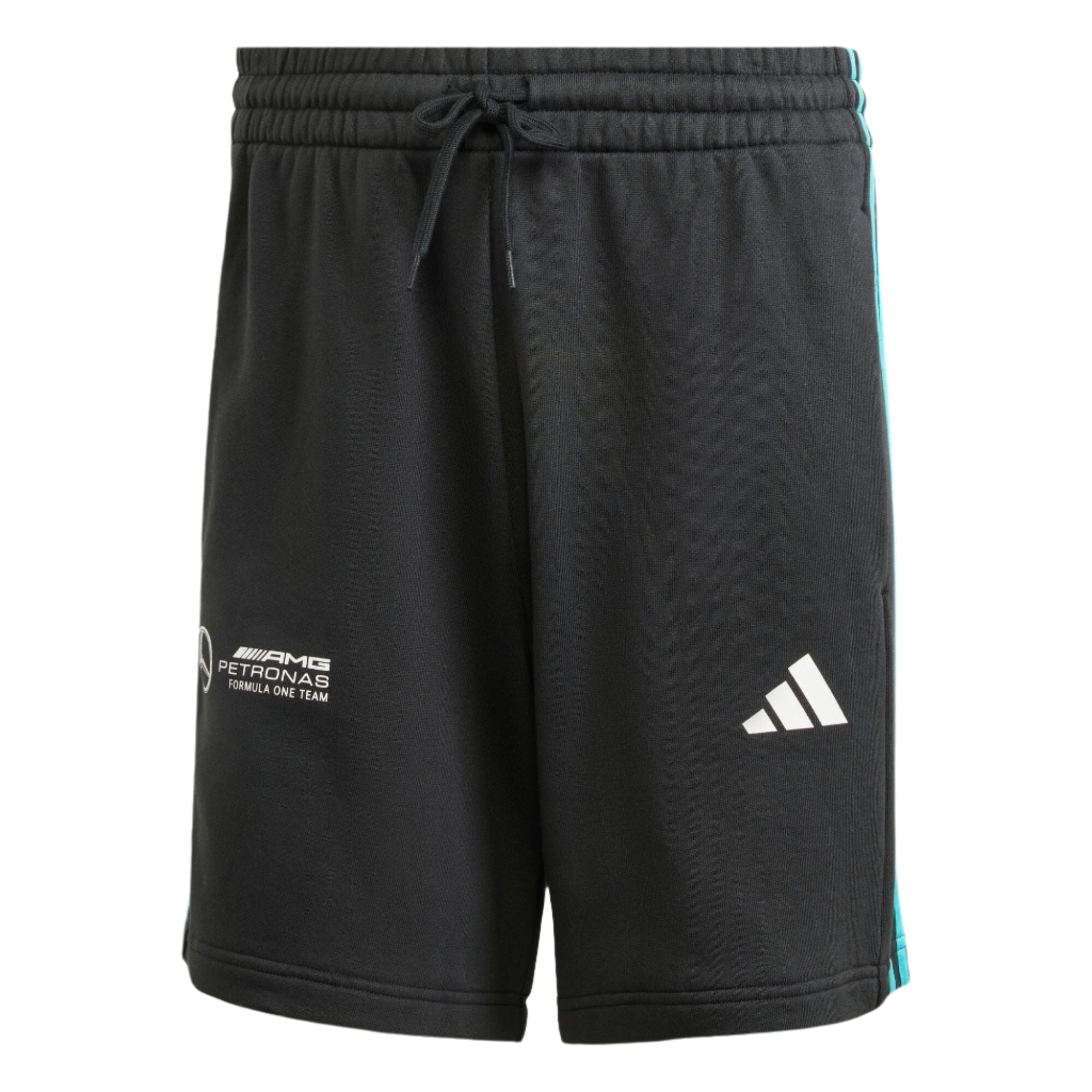 Mercedes - AMG Petronas Formula One Men's DNA Shorts - Black